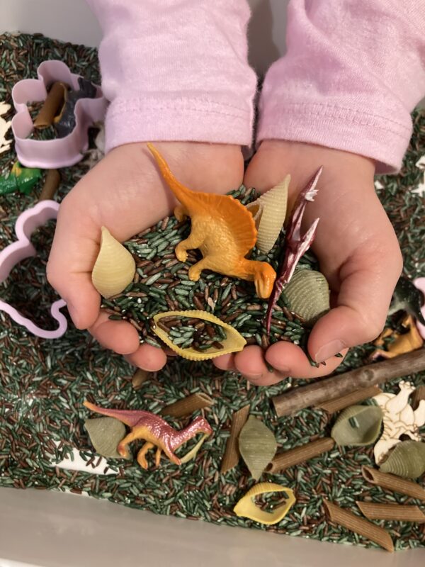 Sensoorne loovuskarp ''Dino'' - Image 3
